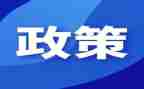 双减政策下教学工作总结8篇