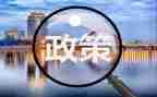 双减政策的心得体会6篇
