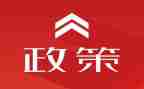 双减政策下的心得体会精选6篇