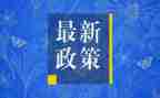 双减政策下的心得体会优秀8篇