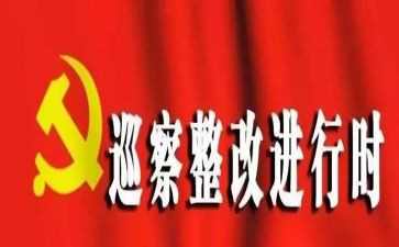 学校整改工作总结8篇