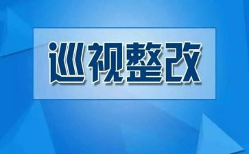 检查工作整改报告5篇