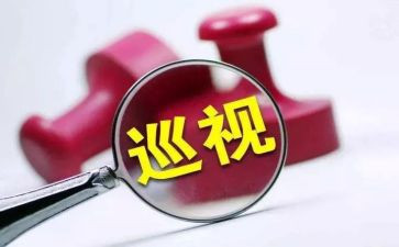 机构整改报告5篇