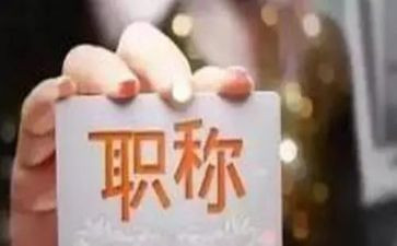 正高级工程师专业技术工作总结6篇
