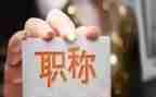 正高级工程师专业技术工作总结6篇
