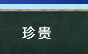 最珍贵优秀作文5篇