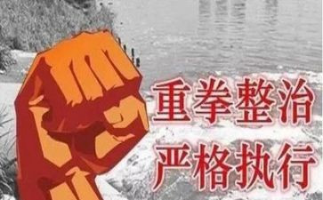 整治的工作总结通用6篇