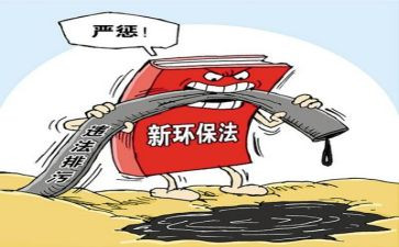 整治月工作总结精选7篇