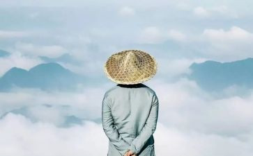 懒惰的智慧教案7篇