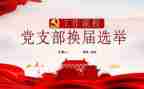 支部换届党支部工作总结6篇