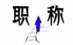 医生职称个人述职报告范文5篇