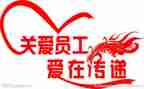 述职工作总结范文7篇
