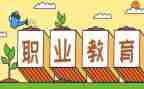 中职教师工作总结优质5篇