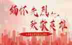 向张桂梅老师致敬心得体会7篇
