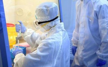 2024年质量月主题活动总结5篇