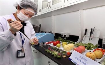 质量自查报告7篇