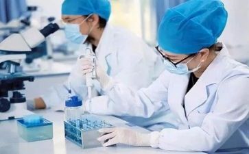 质量科年终总结通用6篇