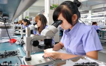 质量月的总结报告参考8篇
