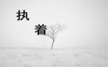 执着和不执着的作文模板5篇