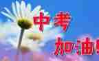 2024我的中考年作文通用7篇