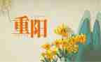 重阳活动方案策划通用8篇