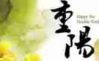 小班重阳节教案模板7篇
