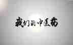 中医所工作总结优秀6篇