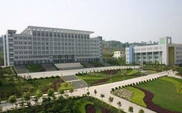 中专护理专业自我鉴定范文5篇