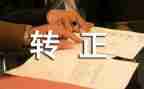 转正工作总结个人总结推荐8篇