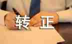 转正后个人总结模板6篇