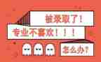 转专业后心得体会6篇