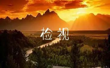 网络自检自查报告6篇