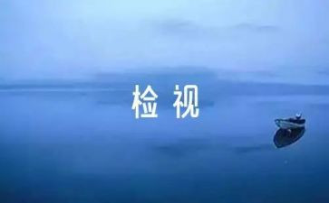 特种设备自检自查报告5篇