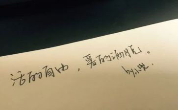 自由类的作文模板7篇