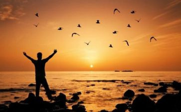 有关自由的作文参考6篇