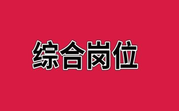 综合岗年度工作总结精选7篇