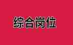 综合岗年度工作总结精选7篇