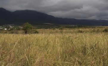 转让房屋租赁合同参考6篇