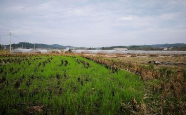 餐饮租赁合同模板6篇
