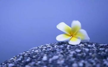 做好自己作文6篇