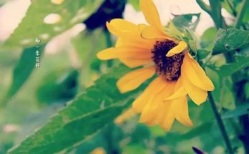 读后感做最好自己读后感7篇