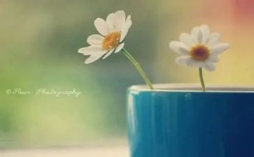 读后感做最好自己读后感最新6篇